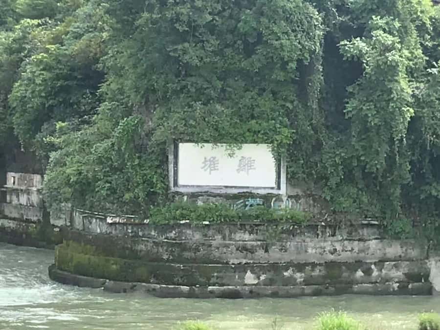 1-Day Mount Qingcheng and Dujiangyan Irrigation System Tour - Who this tour suits best (and who might not love it)