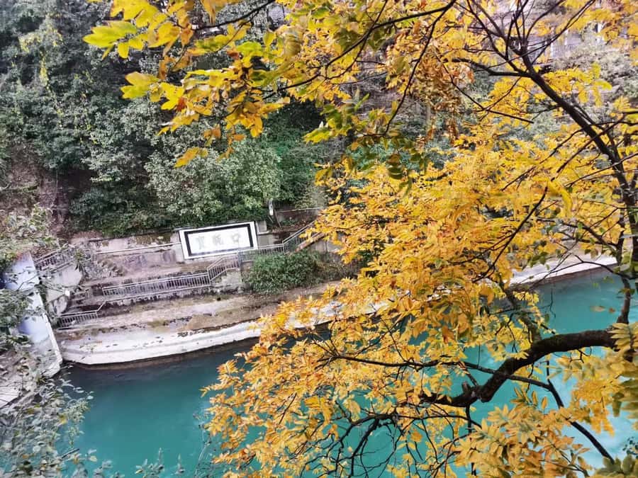 1-Day Mount Qingcheng and Dujiangyan Irrigation System Tour - Front Mountain: palaces, caves, and the Taoist core
