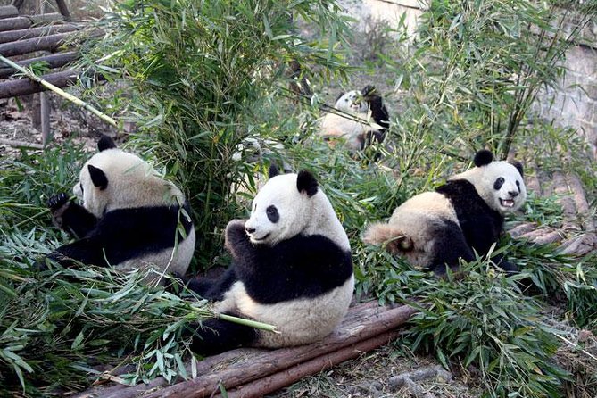 10-Day China Tour to Beijing, Xian, Chengdu and Shanghai - Beijing airport pickup and your first free afternoon