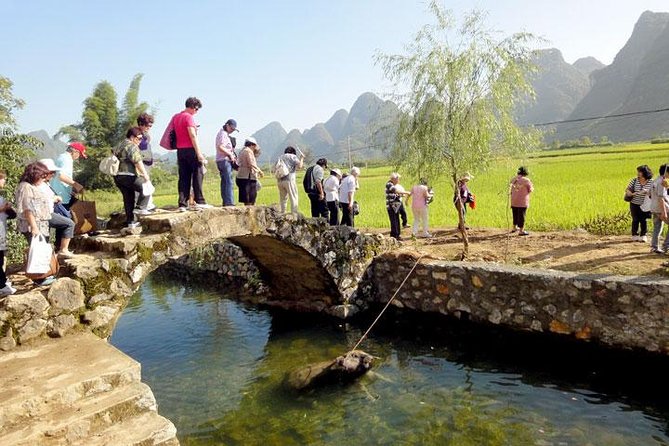 15-Day Classic China Tour with Yangtze Cruise - Suzhou’s gardens and Tongli water town: a softer kind of China