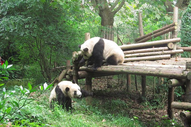 16-Day Private China Essence Tour with Yangtze River Cruise - Key things to know before you go