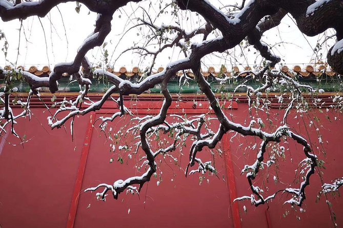 2-Day Beijing Sightseeing Highlights Combo Package with Lunch - Beijing highlights in 2 days, without the daily planning headache