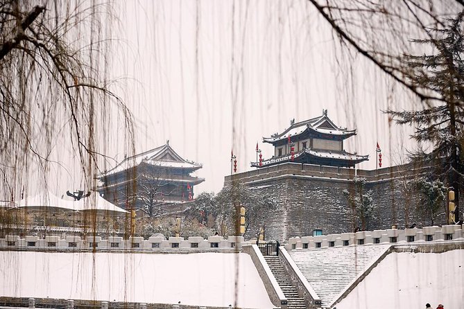 2-Day Private Classic Xi'an City Tour from Beijing by Bullet Train - Lunches and Food Choices: What’s Included and How to Plan Around It