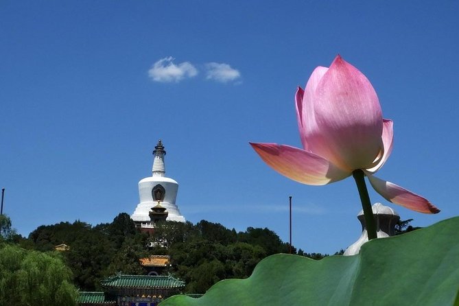 2-Hour Beijing Private Jingshan Coal Hill Park and Beihai Park Walking Tour - Two Parks, One Easy 2-Hour Plan