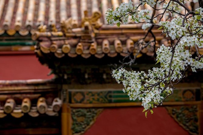 3-Day Private Beijing Tour with Forbidden City, Great Wall, Hutong and Lunch - Day 3: Temple of Heaven, Panjiayuan antiques, and Summer Palace dragon boat