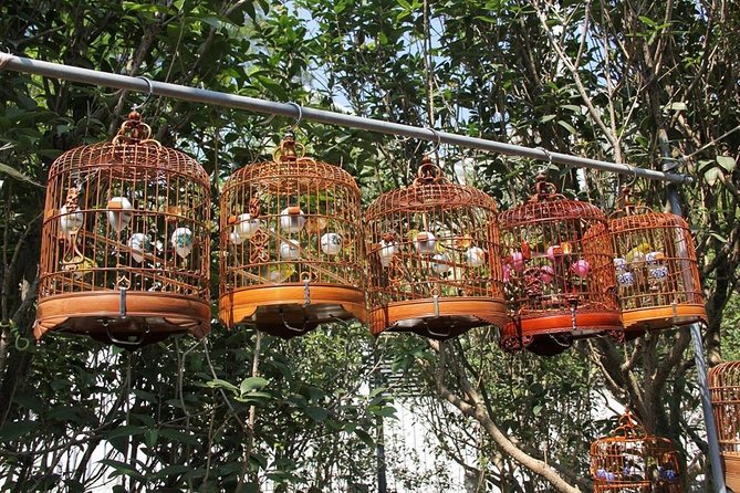 6-Hour Private Beijing Tour: Flower and Fish Market, Panjiayuan Antique Market and 798 Art Zone - A market-and-art day built for real Beijing