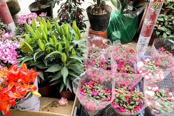 6-Hour Private Beijing Tour: Flower and Fish Market, Panjiayuan Antique Market and 798 Art Zone - Lunch or dinner: food that keeps the day human