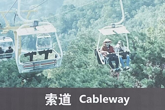 Airport or Hotel Transport to Mutianyu Great Wall - Should You Book This Airport-to–Mutianyu Great Wall Transfer?