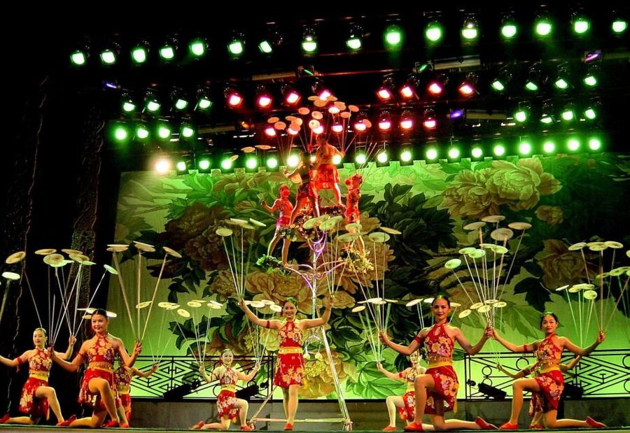 Beijing: Acrobatic Show with Peking Duck Dinner Private Tour - Should You Book This Duck-and-Acrobatics Tour?