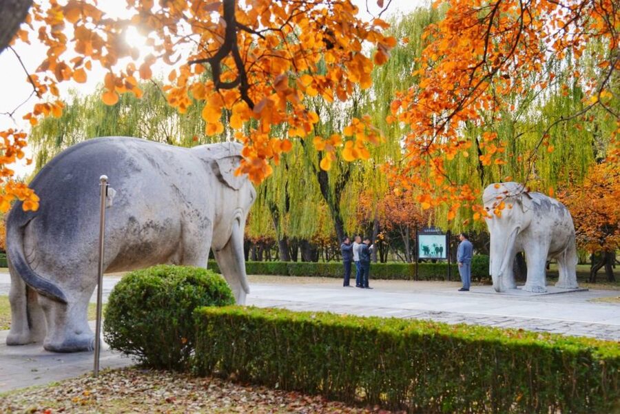 Beijing: Badaling Great Wall & Ming Tombs VIP Skip-the-Line - The Real Win at Badaling: VIP Skip-the-Line Setup (and One Cost Note)