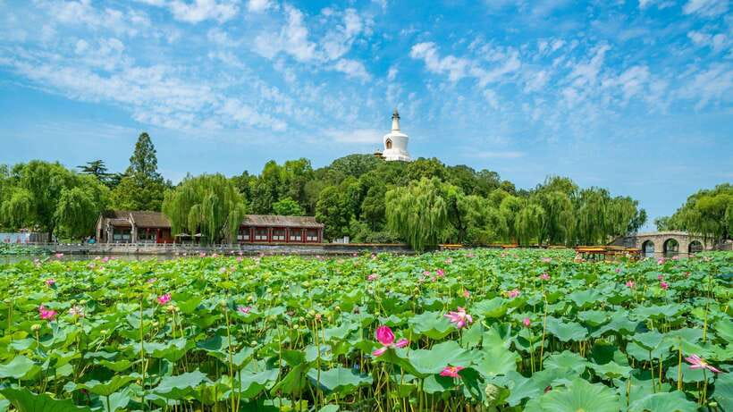 Beijing: Beihai Park Entry Ticket & English PDF Guidebook - Ticketing Without the Line: QR, WhatsApp, and an English PDF