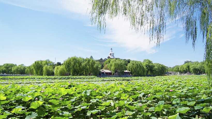 Beijing: Beihai Park Full Access Ticket - Must-See in China - Temples, Pavilions, Bridges, and Rock Formations