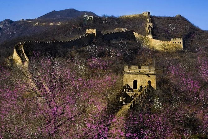 Beijing Day Tour to Tiananmen Square, Forbidden City and Mutianyu Great Wall - Tea ceremony break: a small cultural pause that improves the whole day