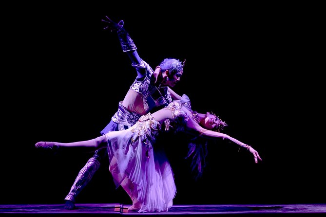 Beijing Evening Tour: Chaoyang Acrobatic Show with Peking Duck Dinner - Who This Tour Works Best For