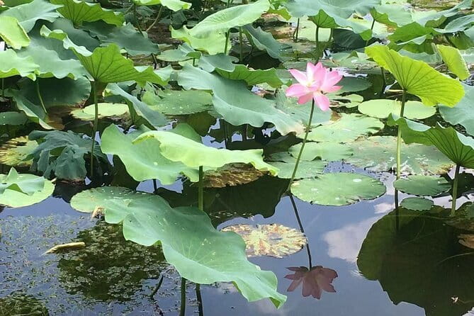 Beijing Forbidden City and Summer Palace Private Guide Tour - Ticketing, security, and passport rules you should treat seriously