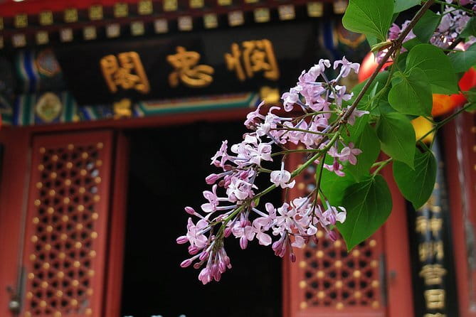 Beijing Forbidden City and Summer Palace Private Guide Tour - Who this tour fits best (and who might want a different plan)