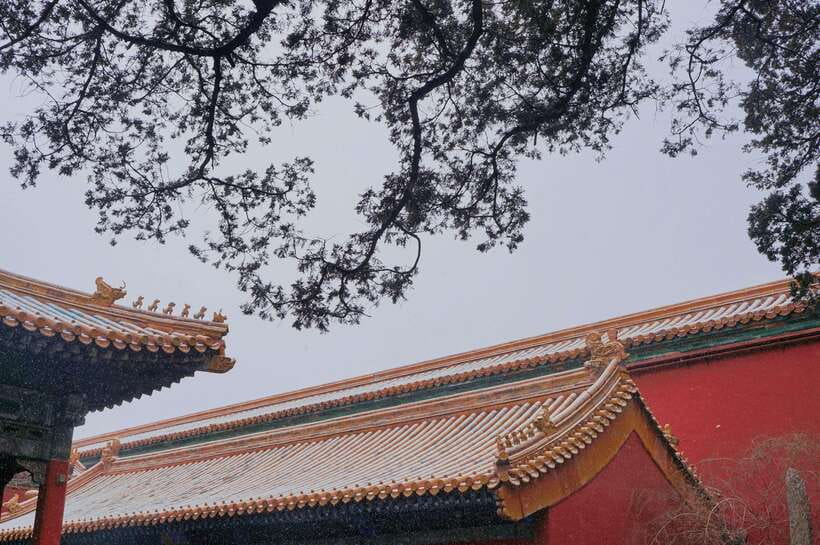 Beijing:Forbidden City & Tian'anmen Square with entry ticket - Forbidden City highlights: two halls plus jewellery and clocks