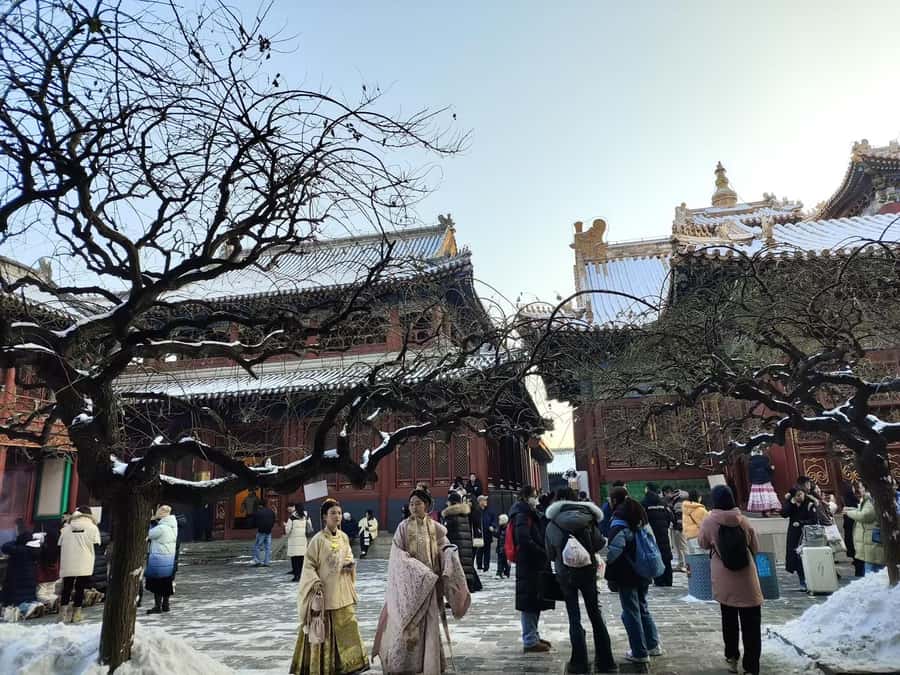 Beijing Great Wall Bus Tour with Multiple Route Options - Getting Around the Wall: Shuttle Bus Included, Cable Car Upgrades Optional