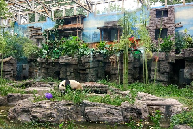 Beijing Half-Day Private Customized Tour: Visit Your Dream Spots - How this private half-day customization actually helps you