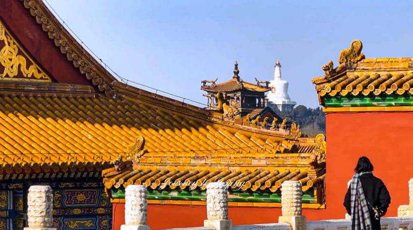 Beijing: Highlights of Forbidden City Private Walking Tour - Should you book this private Forbidden City tour?