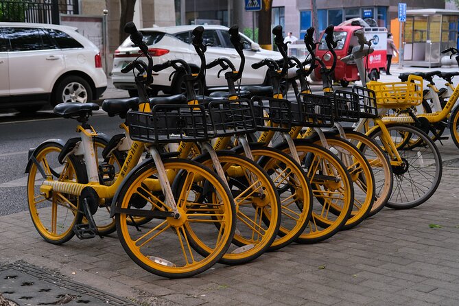 Beijing Highlights-Private Beijing Bike Tour - Donghuamen Night Market and Wangfujing snack street breaks