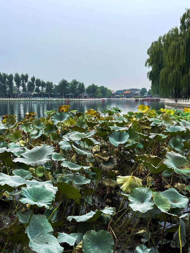 Beijing: Hutongs & Drum Tower City Walking Tour - Yandai Byway (Ancient Commercial Street): Snacks, Souvenirs, and Real Local Rhythm