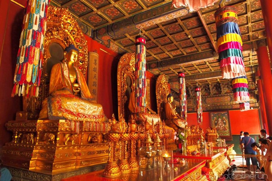 Beijing: Lama Temple, Confucius Temple and Guozijian Museum - Key things to notice before you go