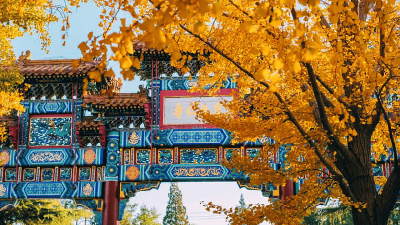 Beijing: Lama Temple (Yonghe Temple) Admission Ticket - Timing at a crowded temple: last entry and exit rules