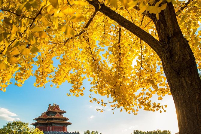 Beijing Layover Tour to Tiananmen Square and Forbidden City - Forbidden City (Palace Museum): what to look for in 90 minutes