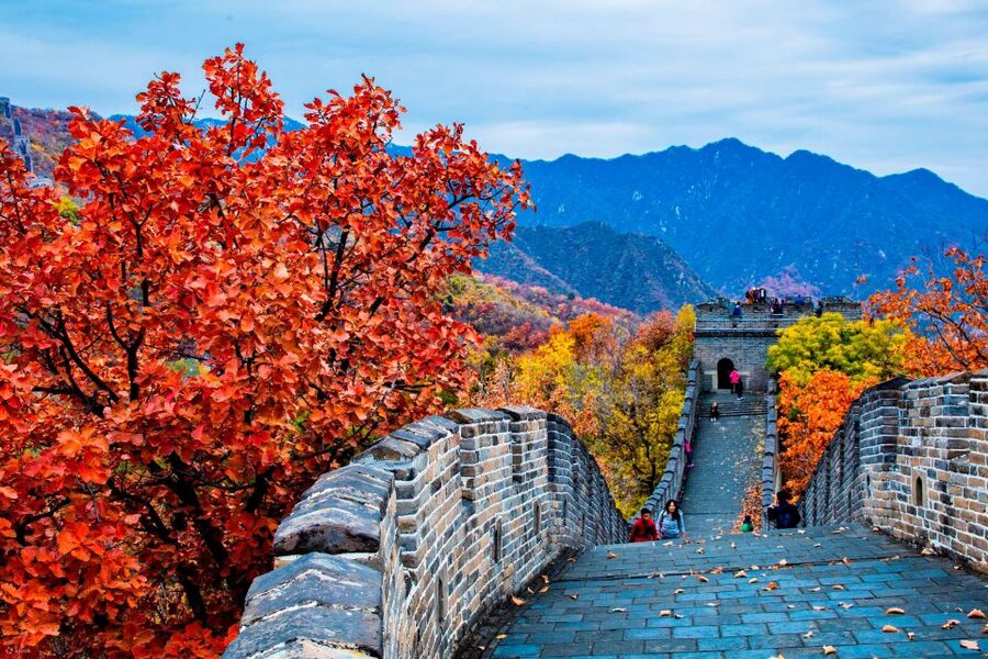 Beijing:Mutianyu/Badaling Great Wall Tour with VIP Fast Pass - VIP Fast Pass and Private Car: The Real Value in the Time You Save