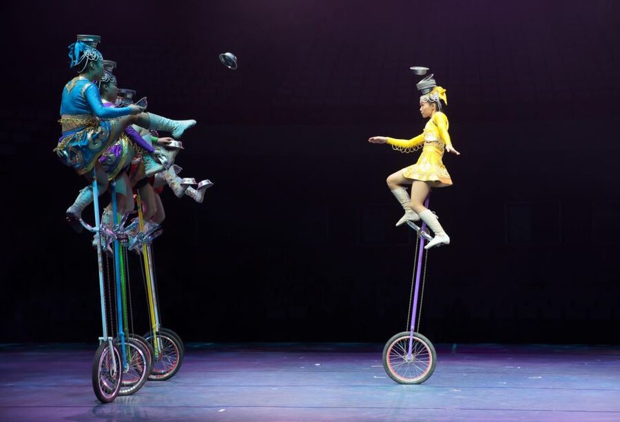 Beijing Night Tour with Acrobatics Show & PekingDuck Dinner - What the included guide and drive actually buys you