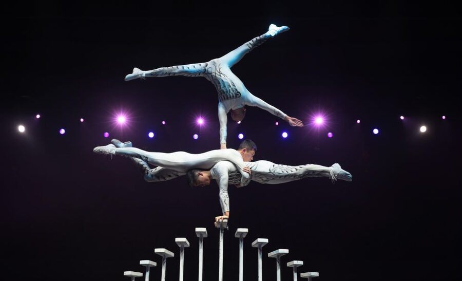Beijing Night Tour with Acrobatics Show & PekingDuck Dinner - Price and value for a 5-hour Beijing night out