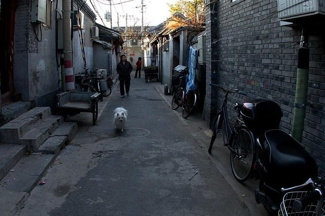 Beijing Old Hutongs Tour by Rickshaw - A local home visit: what to expect (and what not to force)