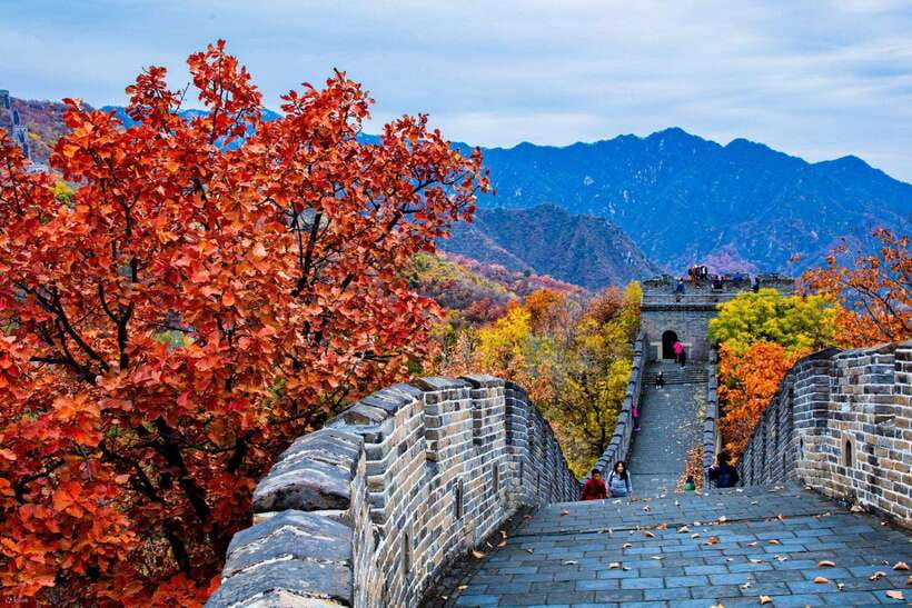 Beijing: Panda House w/Great Wall or City Sites Private Tour - The private guide and driver experience: where the small stuff matters