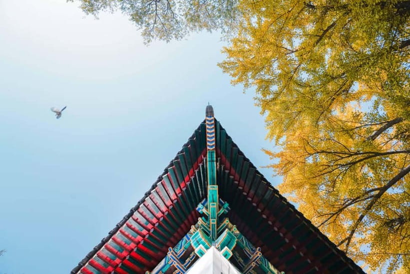 Beijing: Peking University Campus Guided Walking Tour - Group size, pace, and comfort: small-group walking that stays friendly