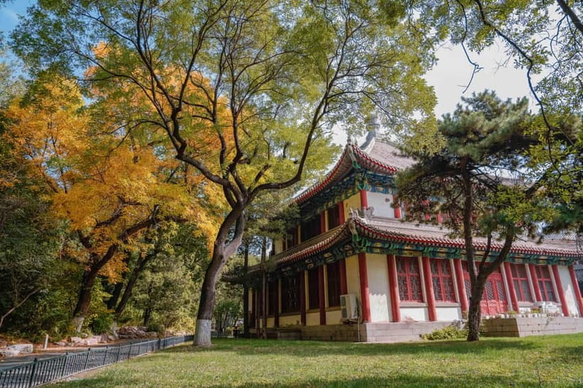 Beijing: Peking University Campus Guided Walking Tour - Price and value: what $39 buys in a 2-hour English campus tour