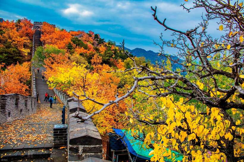 Beijing: Private Airport Layover Sightseeing Transfer - Who This Layover Transfer Suits Best