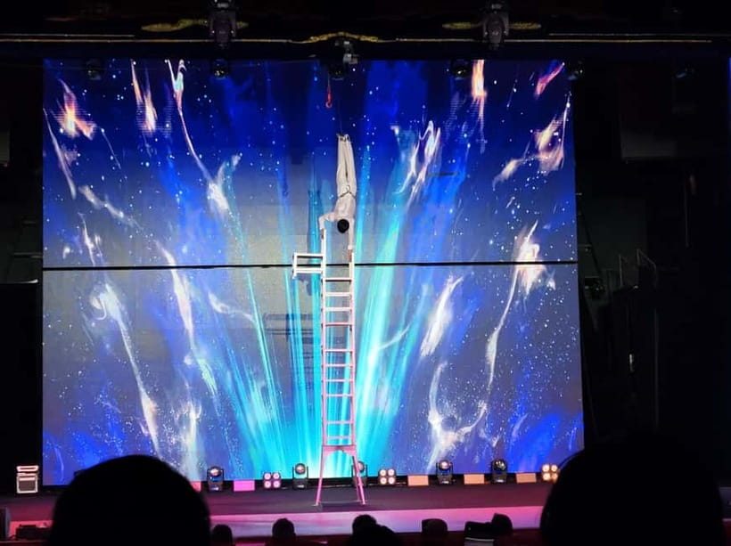 Beijing: Qinle Palace Acrobatics Show Ticket - Who should book this Beijing acrobatics show (and who might not)