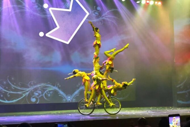 Beijing Red Theater Acrobatic Show with Private Transfer Service - Who this experience suits best (and who may not)