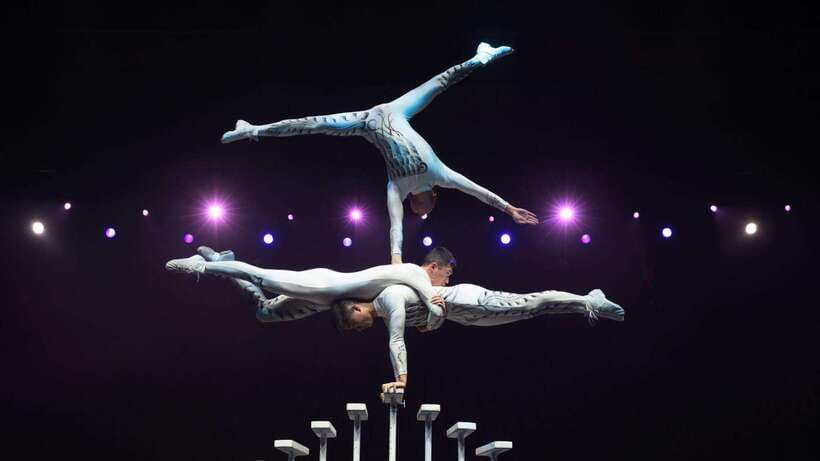 Beijing: Red Theatre Acrobatics Show Ticket-Local Must-See - Who should book this Red Theatre show?