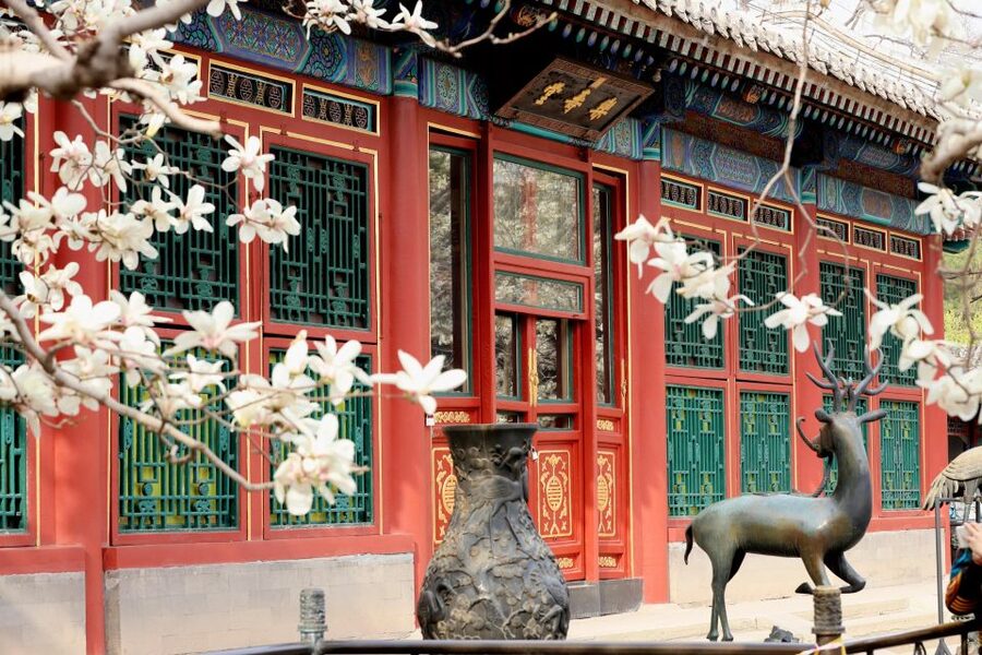 Beijing: Summer Palace, Sacred Road&Ming Tombs Private Tour - Key things you’ll notice on this Beijing day
