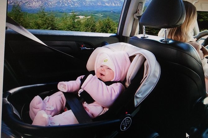 Beijing Tailored Privated Day Trip by Licensed Driver - How a Private Beijing Day Saves Your Energy