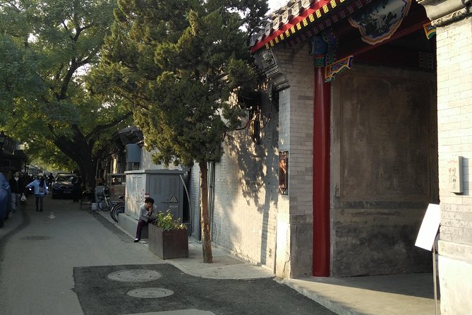 Beijing Tailored Privated Day Trip by Licensed Driver - Temple of Heaven: Less Crowded, More Calm