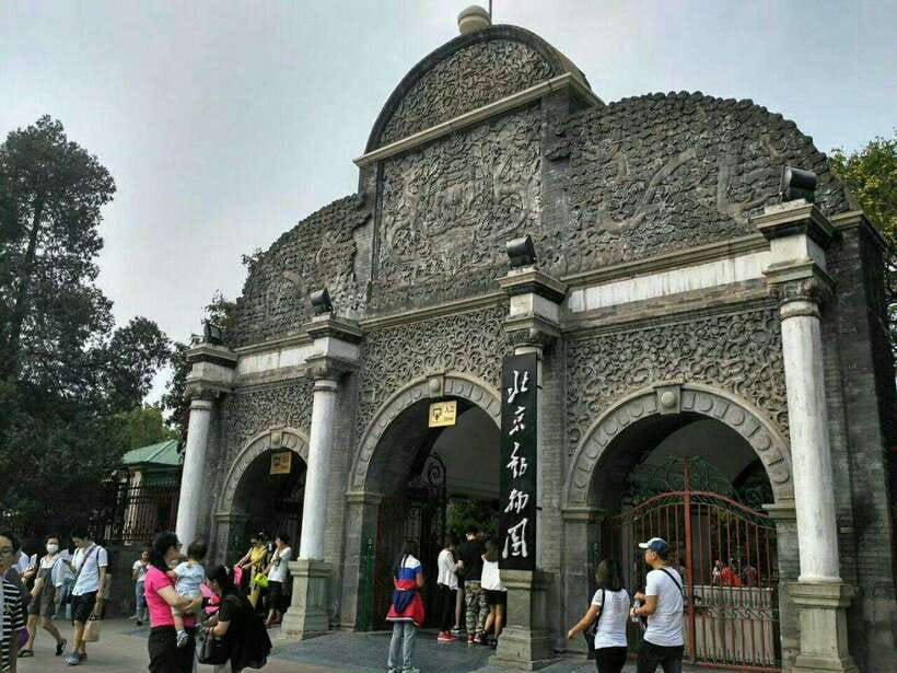 Beijing: The Beijing Zoo Entry Ticket with Pandas - Beijing Zoo in three hours: what you can realistically see