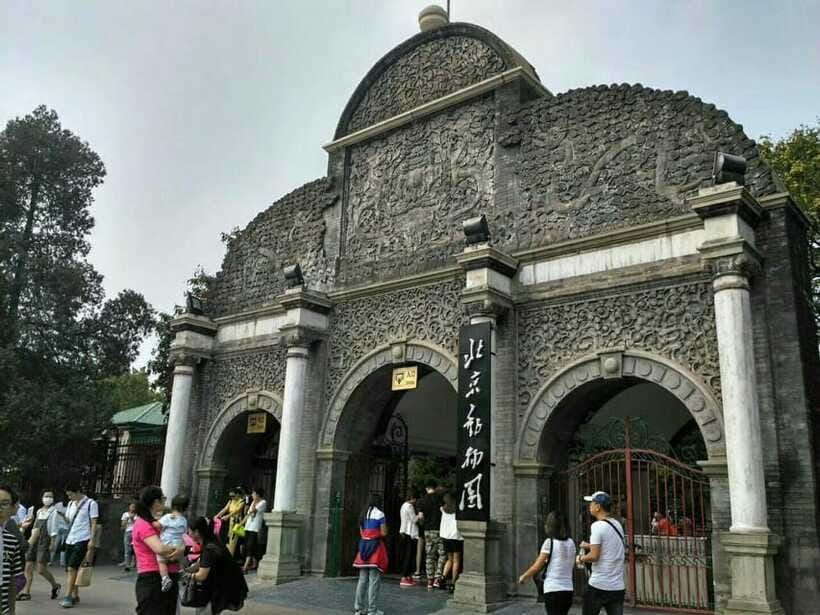 Beijing: The Beijing Zoo Entry Ticket with Pandas - The animals worth prioritizing after pandas