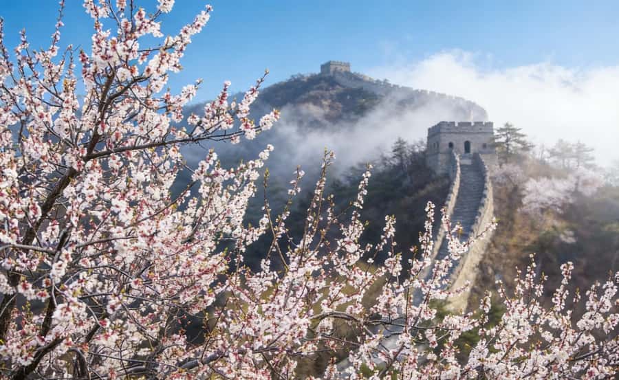 Beijing: Tiananmen, Forbidden City, and Wall Private Tour - Why Tiananmen, the Forbidden City, and Mutianyu Work as One Day