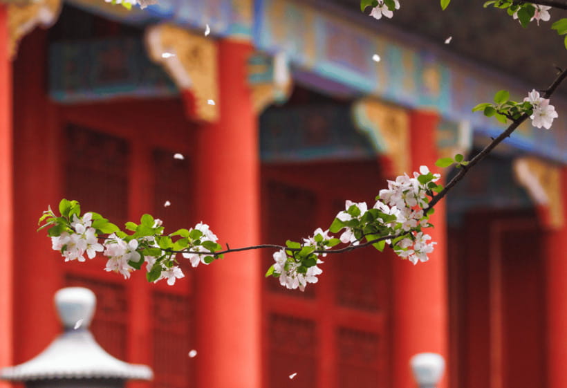 Beijing: Tiananmen Square and Forbidden City Entry Tickets - Hutong + local snacks: the day-after-the-palace energy shift