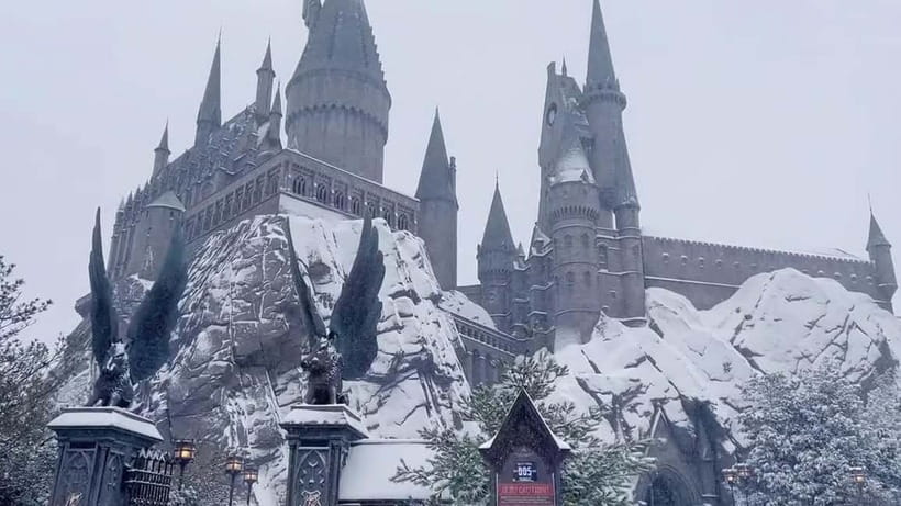 Beijing Universal studios 1 day private tour (opt) - CityWalk Beijing: your meal and souvenir safety net