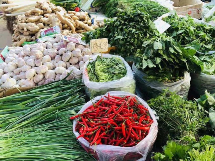 Beijing: Vegan Home Cooking & Local Market Tour with Sanxia - Tu Qiao Meeting Point to Tongzhou Kitchen: The Easy Start