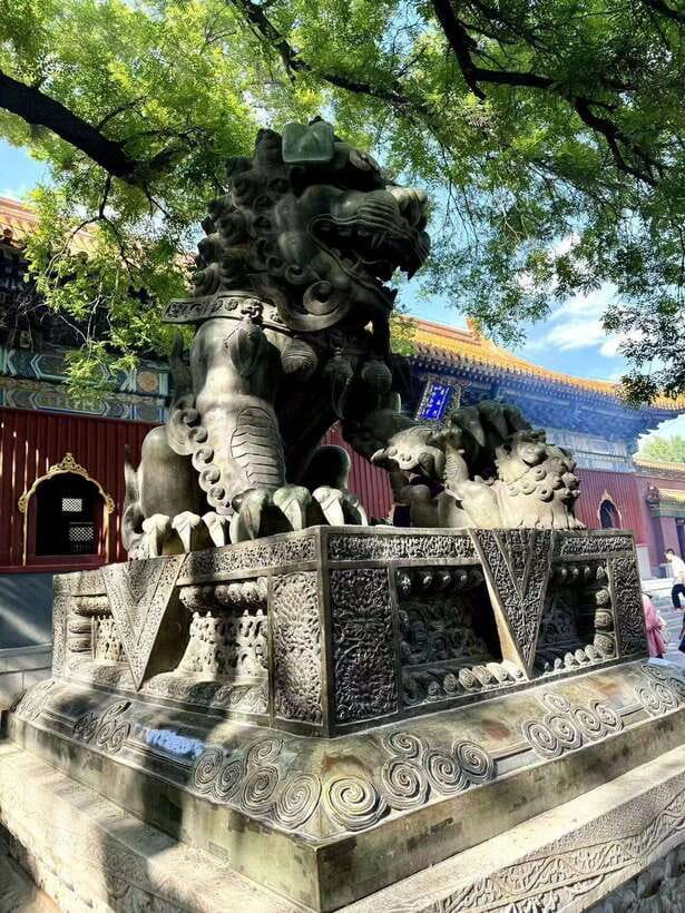 Beijing: Yonghe Lama Temple Entry Ticket - History you can connect to what you see on-site